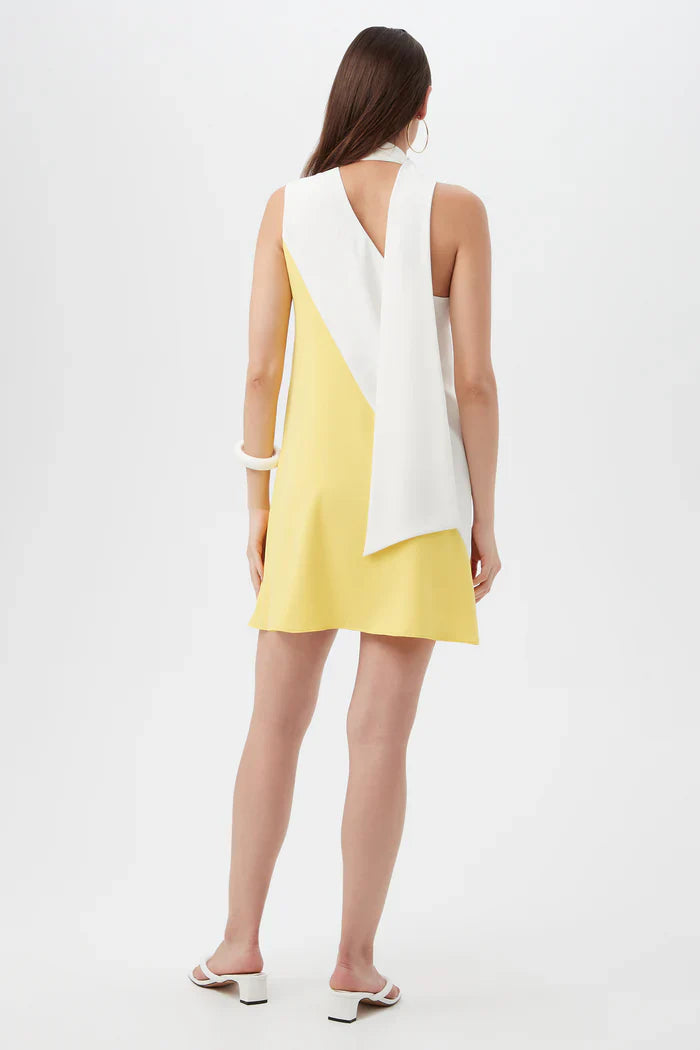 BUTTER YELLOW COLOR BLOCK DRESS